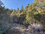Taos Canyon X Sombra Del Oso Rd - Photo 5