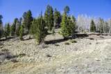 Copper Creek Estates - Photo 6