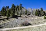 Copper Creek Estates - Photo 8