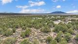  5 Acres Off Windmill Road - Photo 17