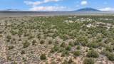  5 Acres Off Windmill Road - Photo 19