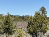 TBD Calle Del Cuervo - Photo 15