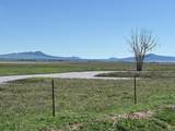 867 Laguna Madre Rd A1 - Photo 31