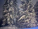 13 Thunderbird Rd - Photo 30