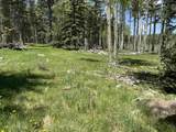 Lot 40 AB Hidden Lake Circle - Photo 10