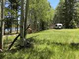 Lot 40 AB Hidden Lake Circle - Photo 11