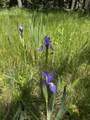Lot 40 AB Hidden Lake Circle - Photo 12