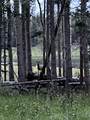 Lot 40 AB Hidden Lake Circle - Photo 6