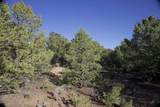 Lot 14 Llano Rd - Photo 6
