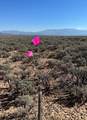 60 Coyote Moon - Photo 7