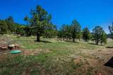 12 Upper Rd - Photo 23