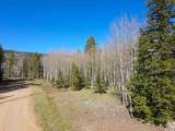 2 Acres Off Quail Ridge - Photo 13