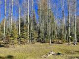 2 Acres Off Quail Ridge - Photo 16