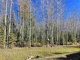 2 Acres Off Quail Ridge - Photo 17