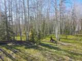 2 Acres Off Quail Ridge - Photo 8