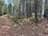 Lot 455 El Camino Real - Photo 13
