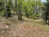 Lot 455 El Camino Real - Photo 14
