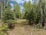 Lot 455 El Camino Real - Photo 15