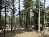 Lot 455 El Camino Real - Photo 9