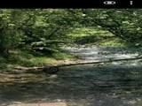 303 State Road 230 - Photo 3