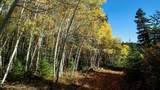 1 The Ranch At Angel Fire - Photo 11