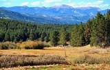 1 The Ranch At Angel Fire - Photo 19