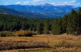 1 The Ranch At Angel Fire - Photo 20