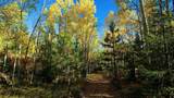 1 The Ranch At Angel Fire - Photo 23