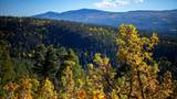 1 The Ranch At Angel Fire - Photo 28