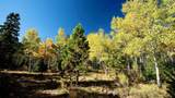 1 The Ranch At Angel Fire - Photo 30