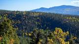 1 The Ranch At Angel Fire - Photo 8