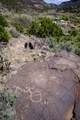  Camino Del Rio Grande - Photo 28