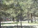  Lot 7 - Photo 13