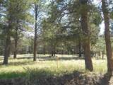  Lot 7 - Photo 4
