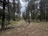 1222 Rainbow Overlook - Photo 1
