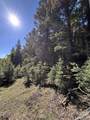 Lot 161 Back Basin Rd - Photo 3