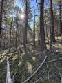 Lot 161 Back Basin Rd - Photo 6