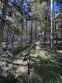 Lot 161 Back Basin Rd - Photo 8