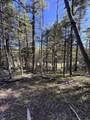 Lot 161 Back Basin Rd - Photo 9