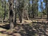 Lot 1662 El Vado Way - Photo 10