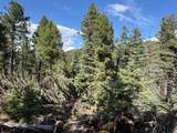 Lot 1662 El Vado Way - Photo 11