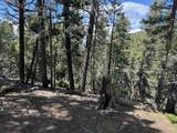 Lot 1662 El Vado Way - Photo 12