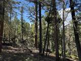 Lot 1662 El Vado Way - Photo 13