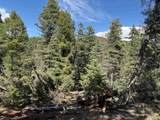 Lot 1662 El Vado Way - Photo 4