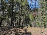 Lot 1662 El Vado Way - Photo 6