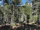 Lot 1662 El Vado Way - Photo 7