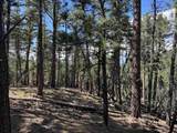 Lot 1662 El Vado Way - Photo 8