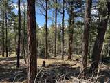 Lot 1662 El Vado Way - Photo 9
