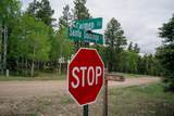 Lot 748 Carmen Circle - Photo 2