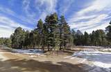 Lot 748 Carmen Circle - Photo 3